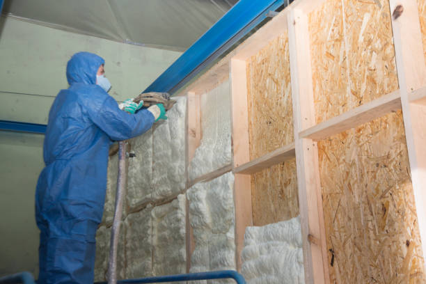 Best Insulation Repair Services  in Kure Beach, NC
