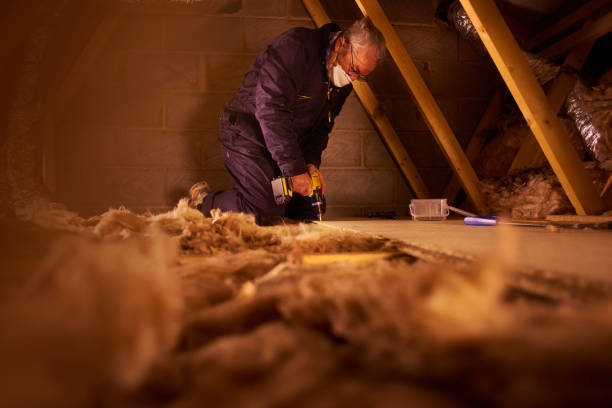 Best Wall Insulation Contractor  in Kure Beach, NC